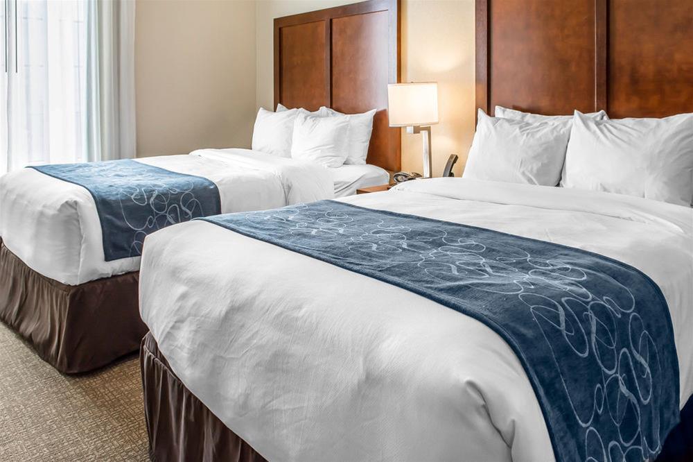 Comfort Suites Near Potomac Mills Woodbridge Ngoại thất bức ảnh